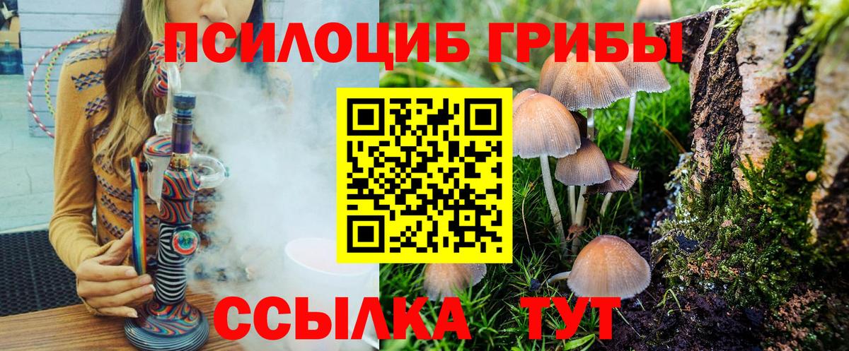 Галлюциногенные грибы GOLDEN TEACHER  Вход с VPN  Галлюциногенные грибы GOLDEN TEACHER  Муравленко 