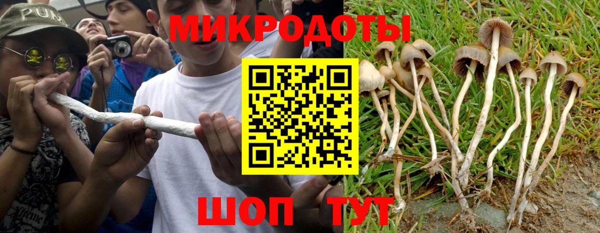 Псилоцибиновые грибы мухоморы Муравленко