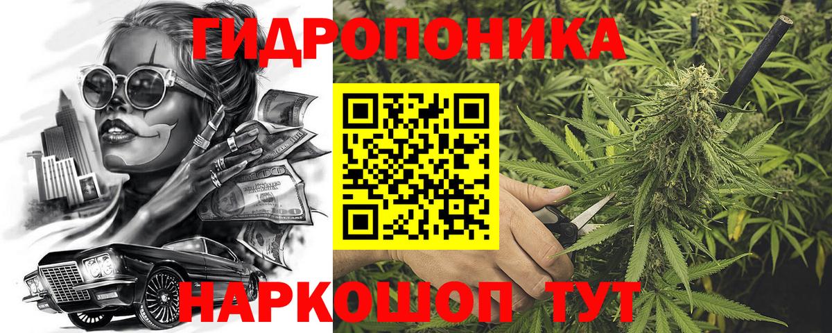 Бошки марихуана семена  Марихуана индика  Вход с VPN  Бошки марихуана марихуана  Муравленко 